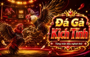 Giao diện Đá Gà Daga